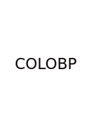 City Of London Ontario Building Permits
