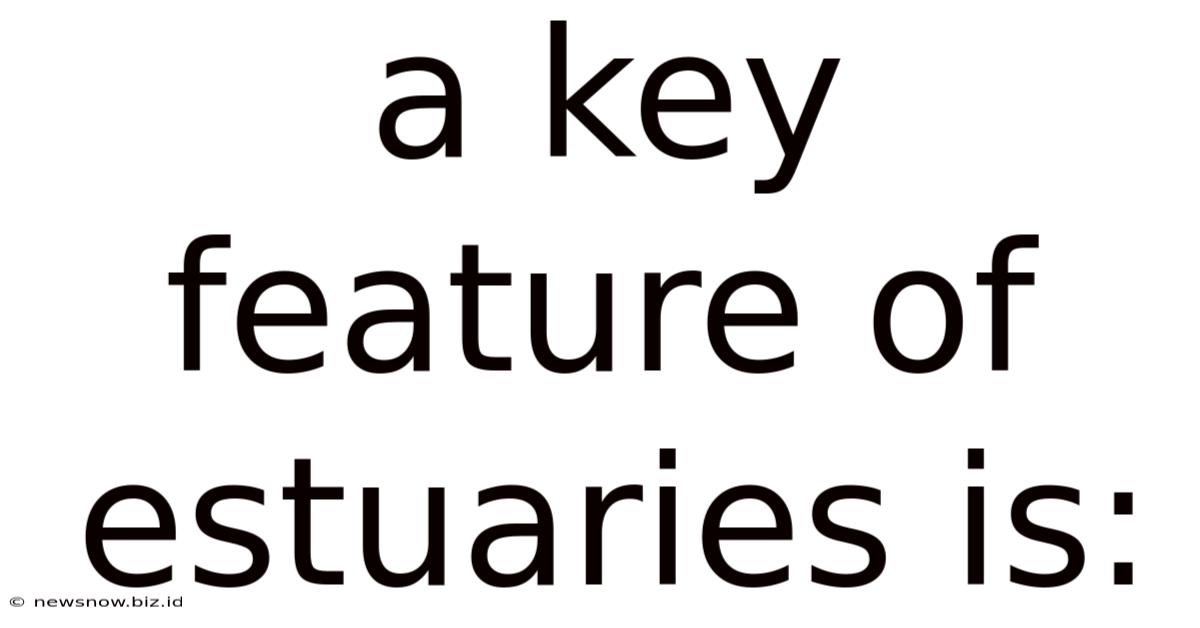 A Key Feature Of Estuaries Is: