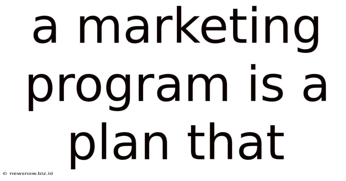 A Marketing Program Is A Plan That