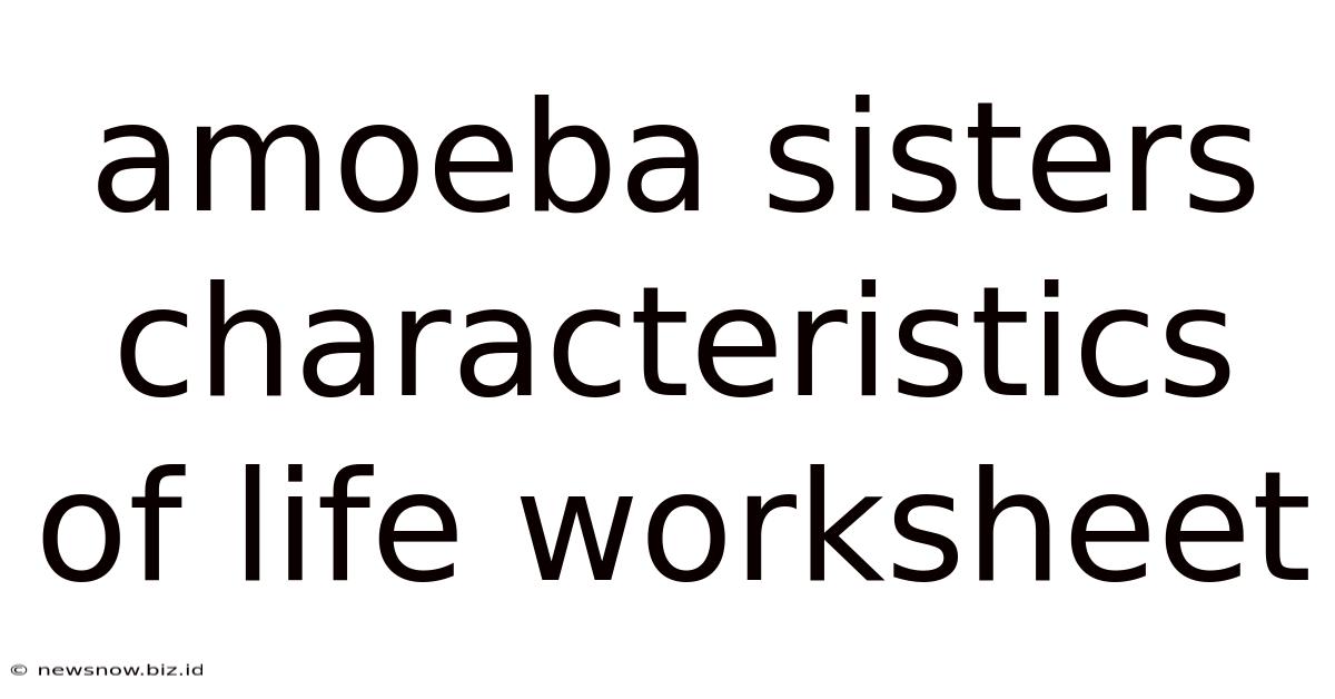 Amoeba Sisters Characteristics Of Life Worksheet