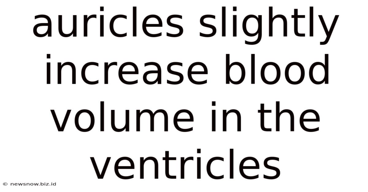 Auricles Slightly Increase Blood Volume In The Ventricles