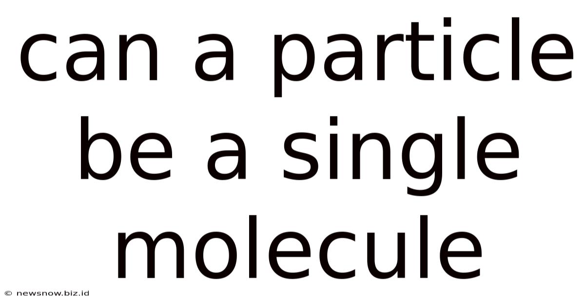 Can A Particle Be A Single Molecule