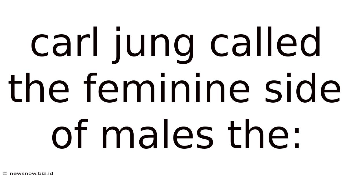 Carl Jung Called The Feminine Side Of Males The: