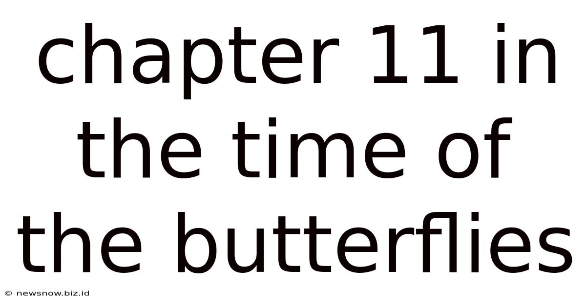 Chapter 11 In The Time Of The Butterflies
