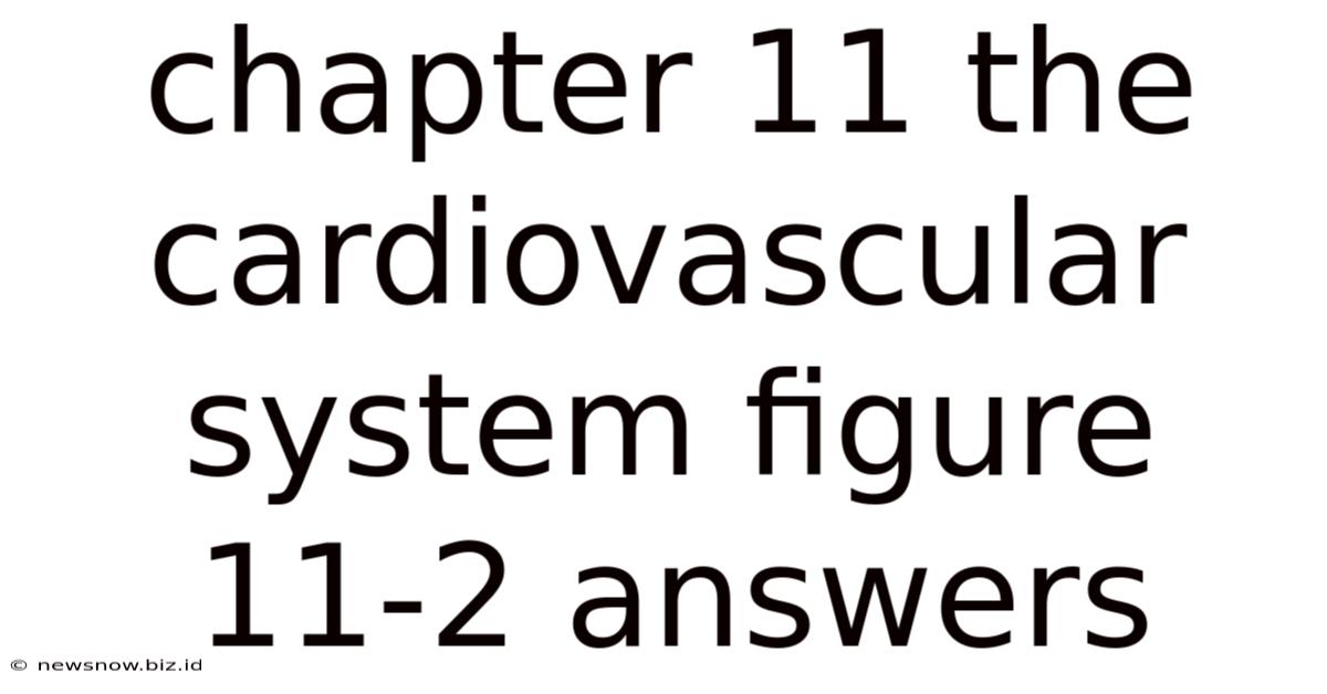 Chapter 11 The Cardiovascular System Figure 11-2 Answers