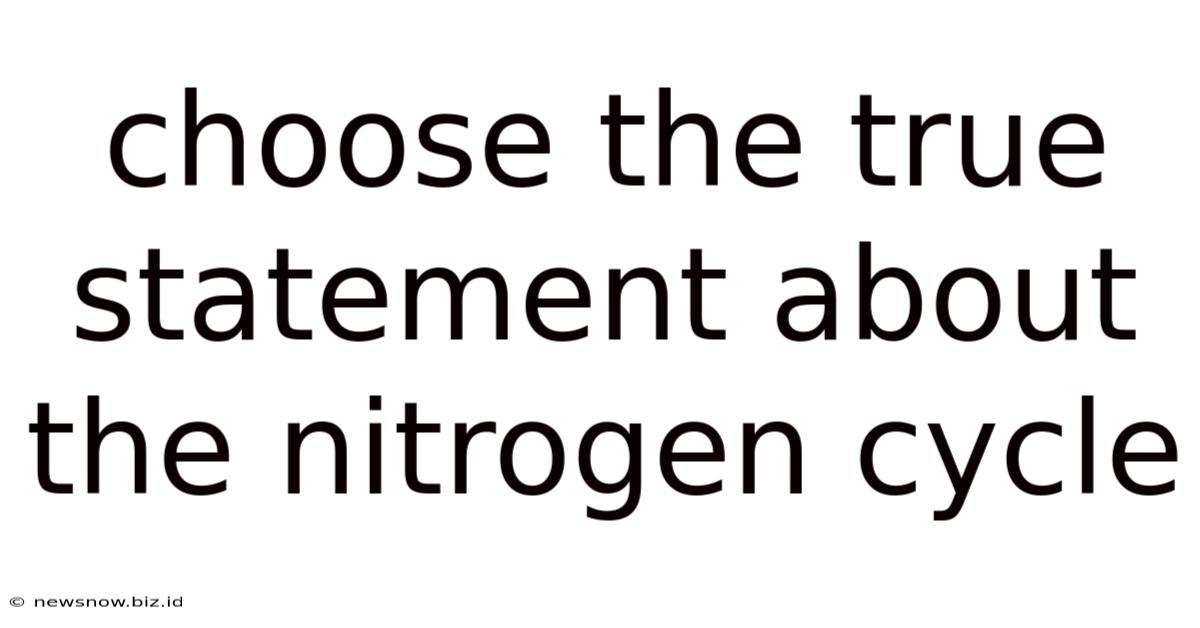 Choose The True Statement About The Nitrogen Cycle