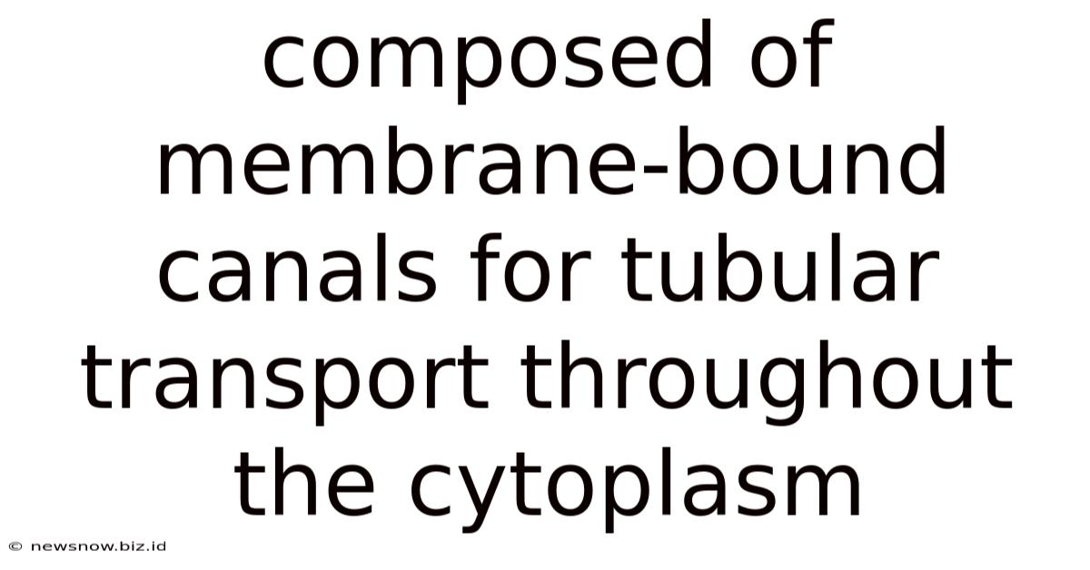 Composed Of Membrane-bound Canals For Tubular Transport Throughout The Cytoplasm