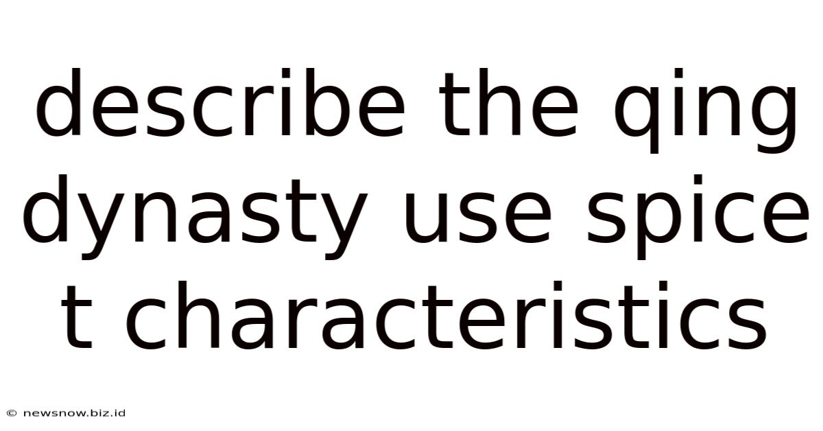 Describe The Qing Dynasty Use Spice T Characteristics