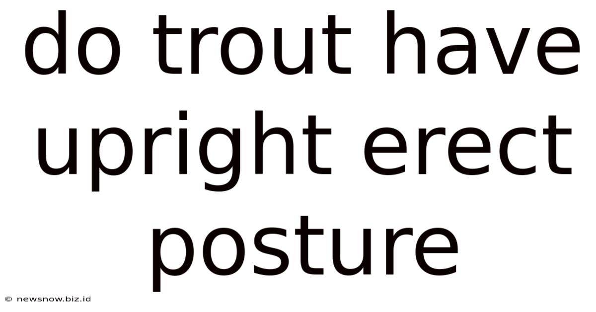 Do Trout Have Upright Erect Posture