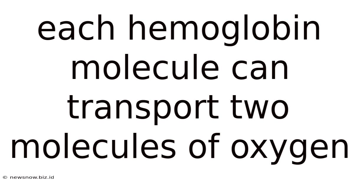 Each Hemoglobin Molecule Can Transport Two Molecules Of Oxygen