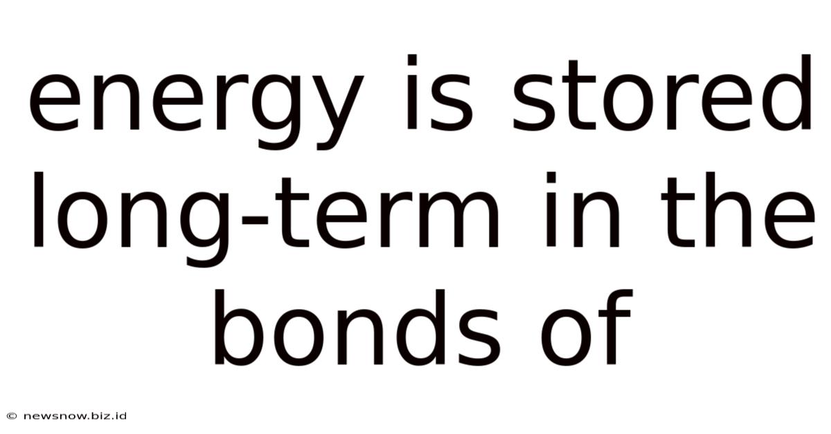 Energy Is Stored Long-term In The Bonds Of