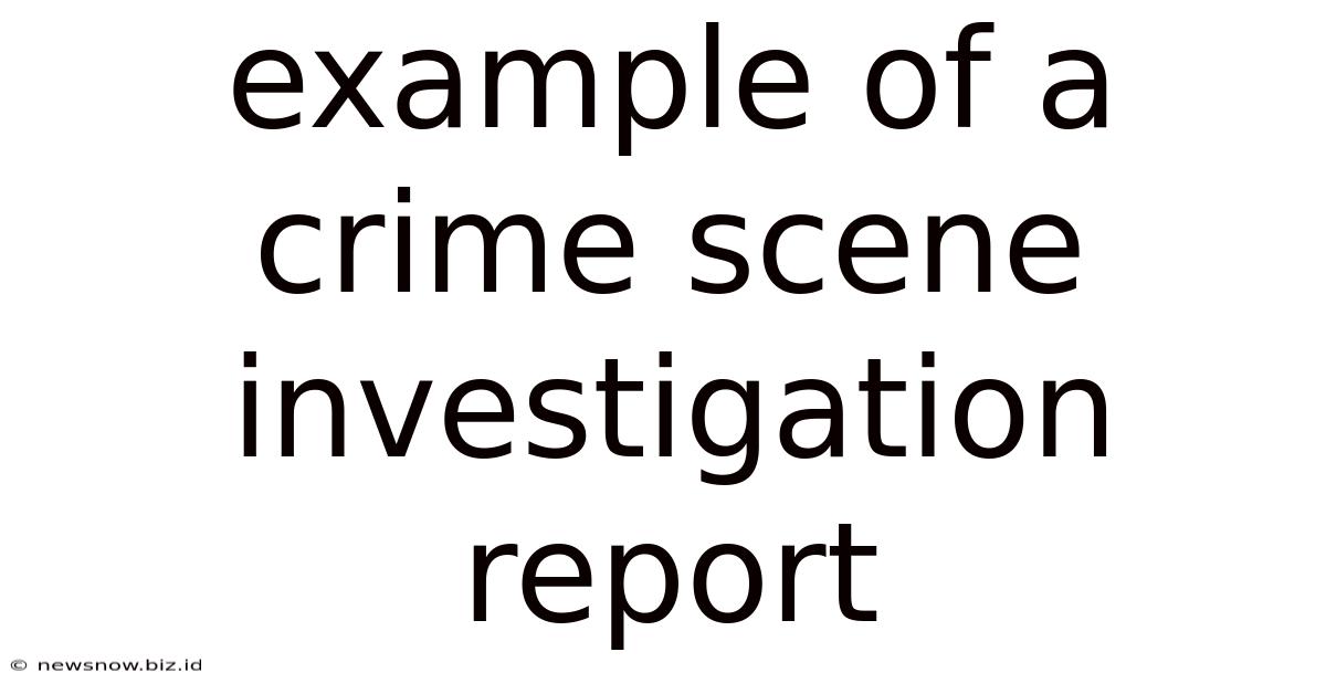 Example Of A Crime Scene Investigation Report