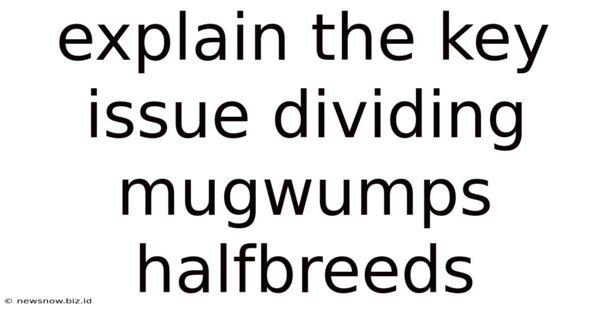 Explain The Key Issue Dividing Mugwumps Halfbreeds