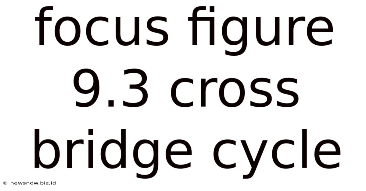 Focus Figure 9.3 Cross Bridge Cycle