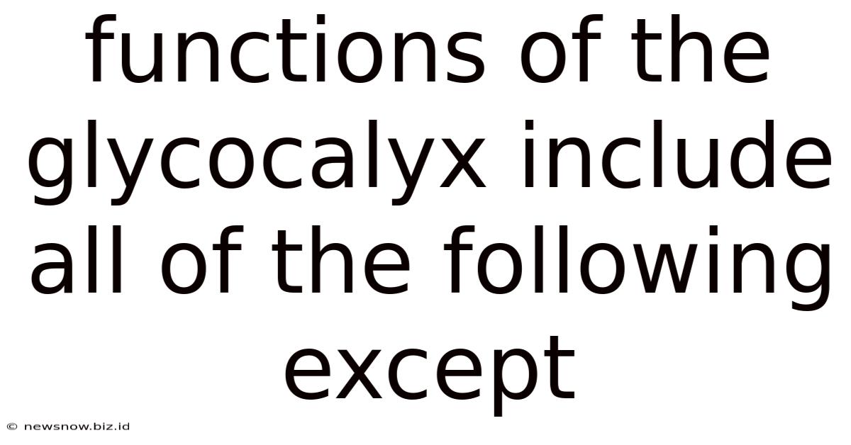 Functions Of The Glycocalyx Include All Of The Following Except
