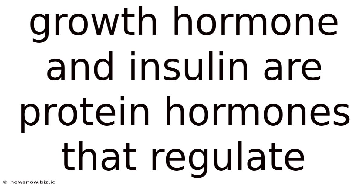 Growth Hormone And Insulin Are Protein Hormones That Regulate