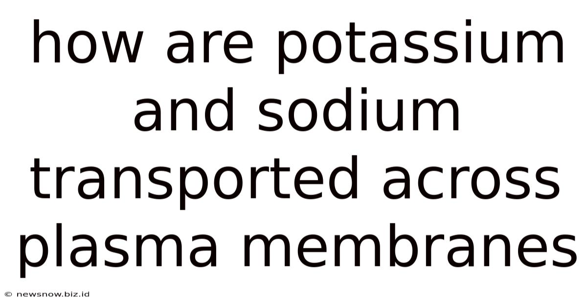 How Are Potassium And Sodium Transported Across Plasma Membranes