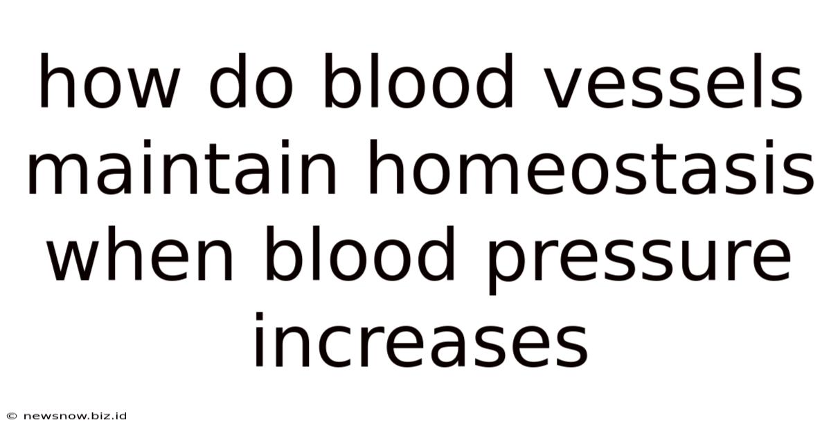 How Do Blood Vessels Maintain Homeostasis When Blood Pressure Increases