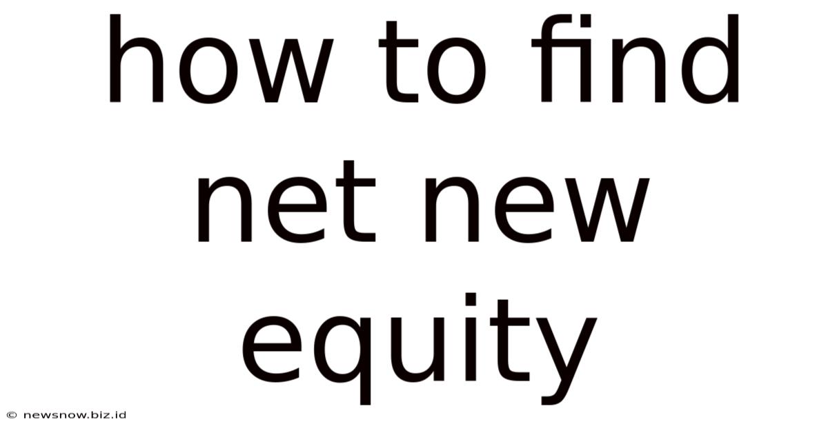 How To Find Net New Equity