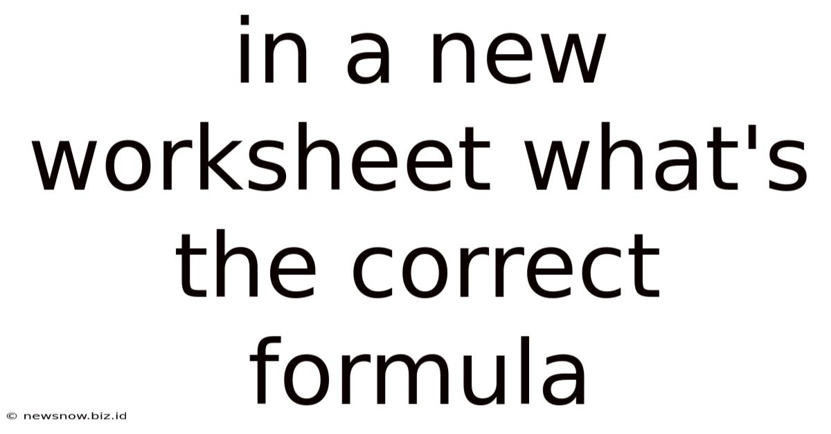 In A New Worksheet What's The Correct Formula