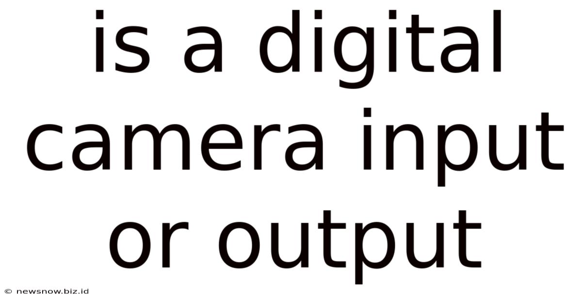 Is A Digital Camera Input Or Output