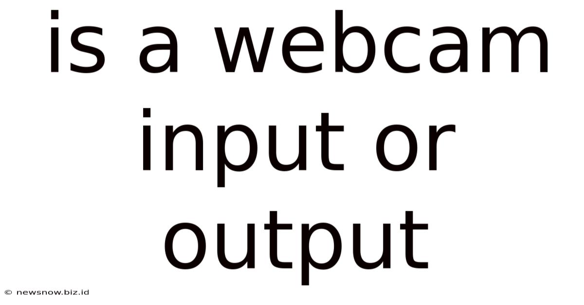 Is A Webcam Input Or Output