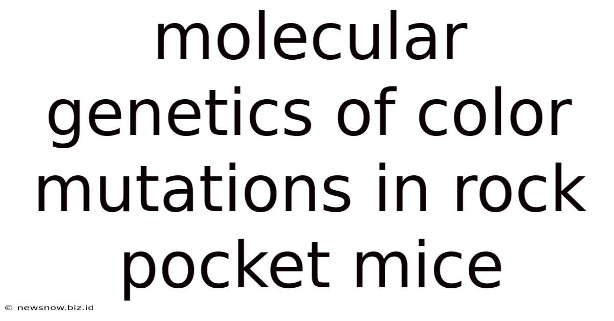 Molecular Genetics Of Color Mutations In Rock Pocket Mice
