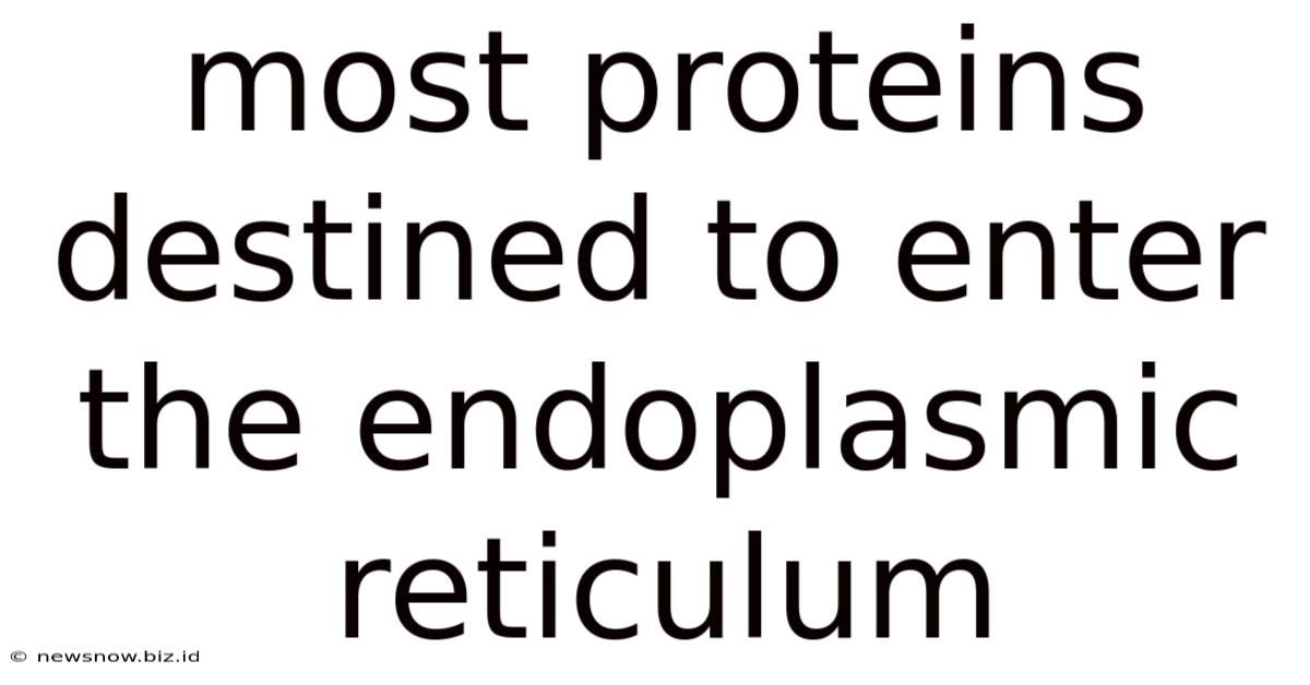 Most Proteins Destined To Enter The Endoplasmic Reticulum