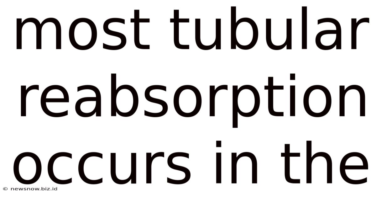 Most Tubular Reabsorption Occurs In The