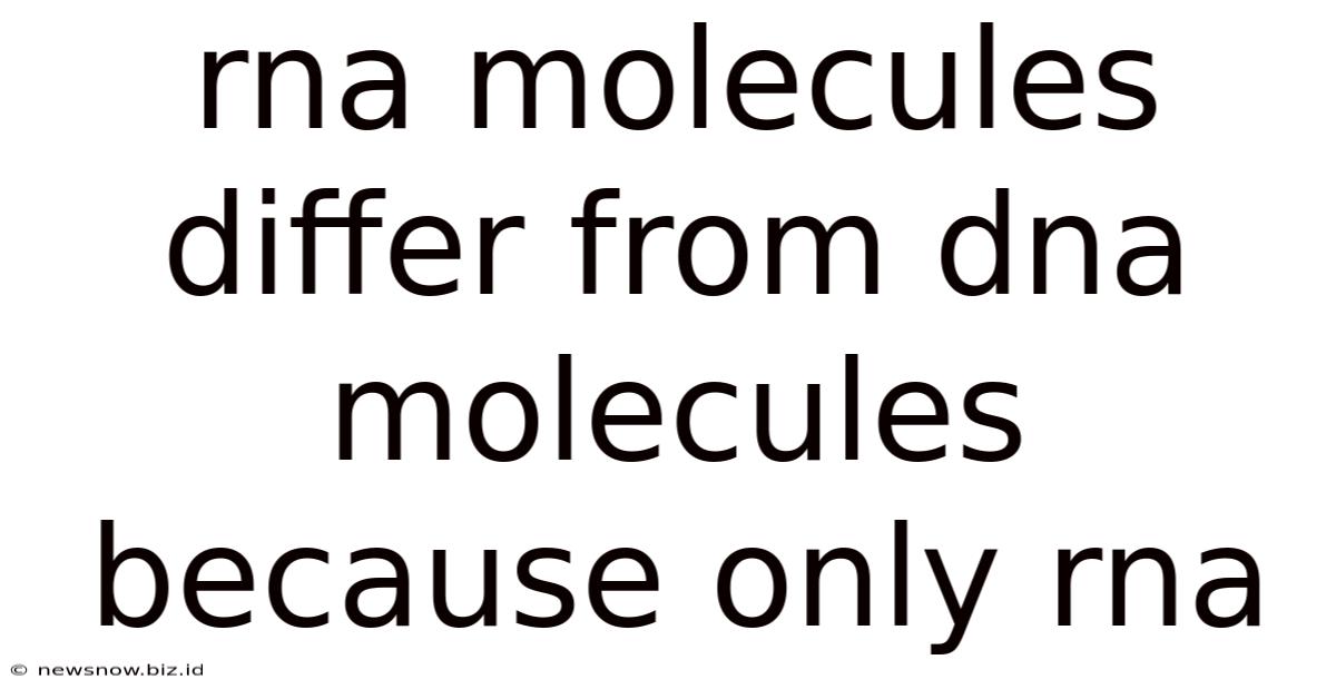 Rna Molecules Differ From Dna Molecules Because Only Rna