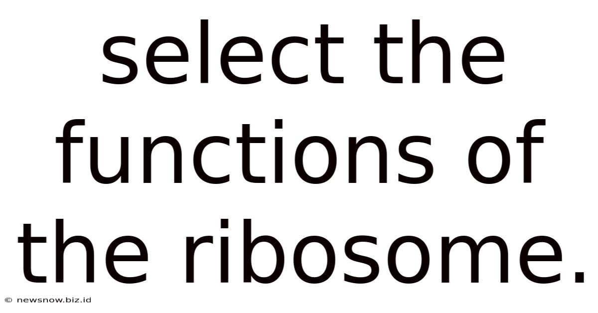 Select The Functions Of The Ribosome.