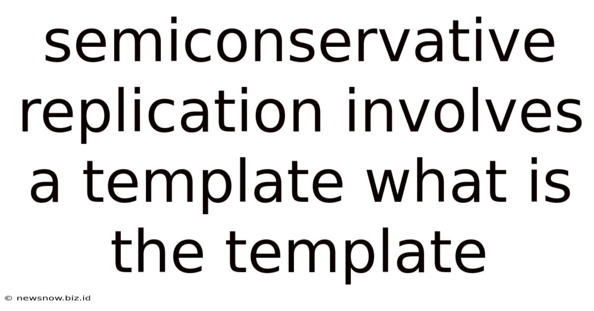 Semiconservative Replication Involves A Template What Is The Template