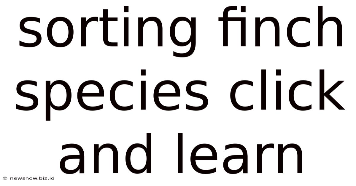 Sorting Finch Species Click And Learn