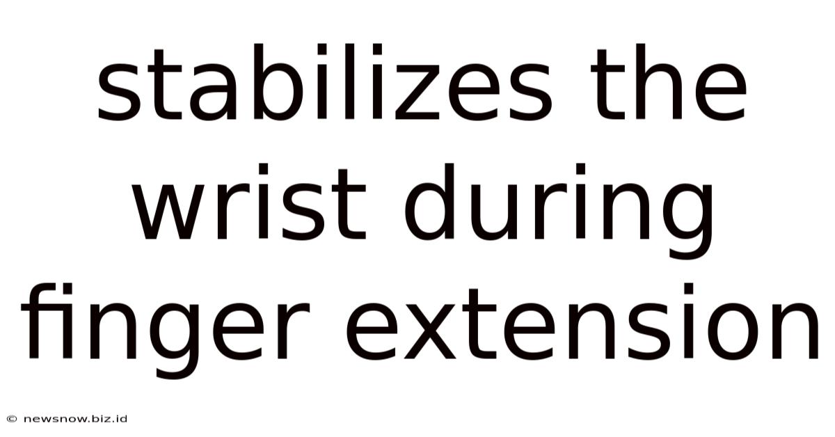 Stabilizes The Wrist During Finger Extension