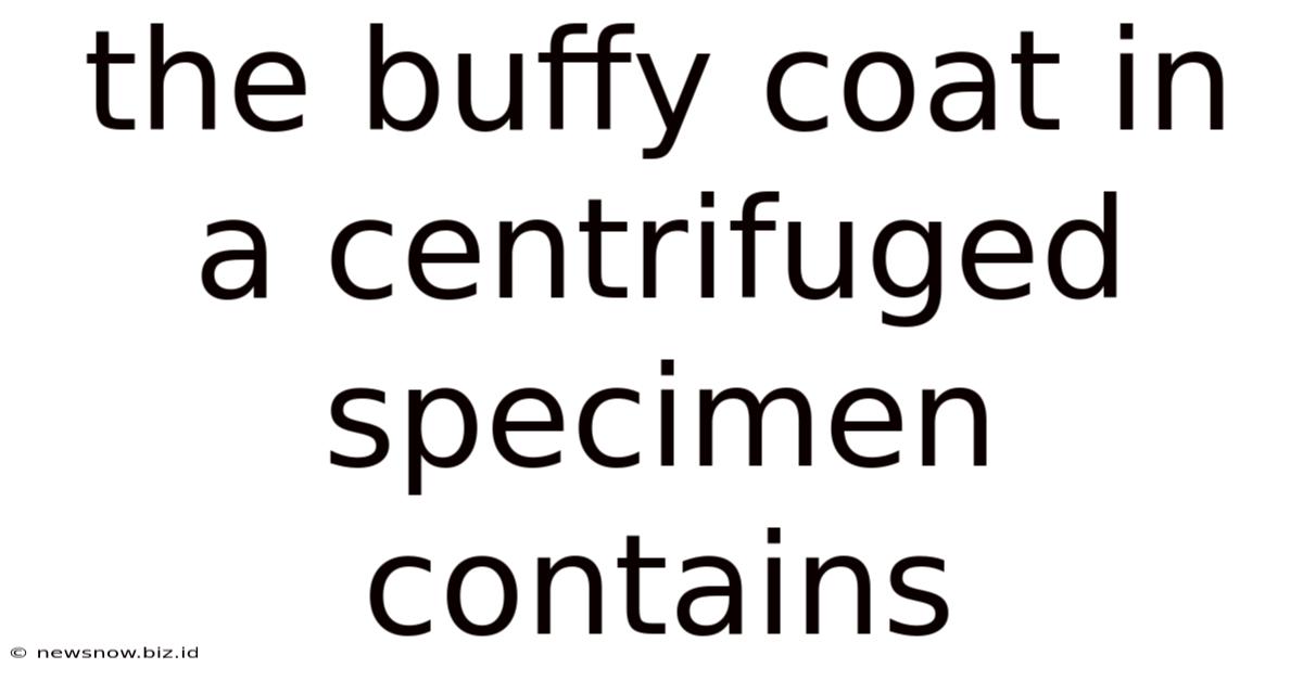 The Buffy Coat In A Centrifuged Specimen Contains