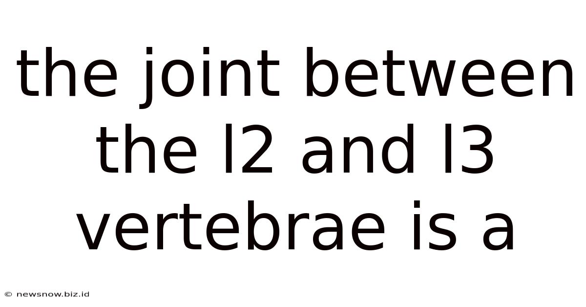 The Joint Between The L2 And L3 Vertebrae Is A