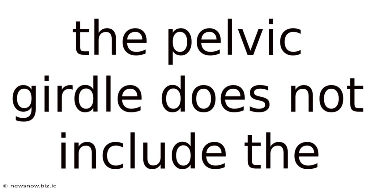 The Pelvic Girdle Does Not Include The