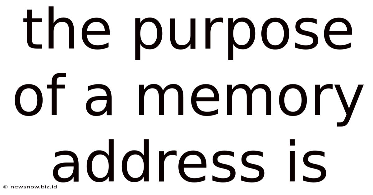The Purpose Of A Memory Address Is