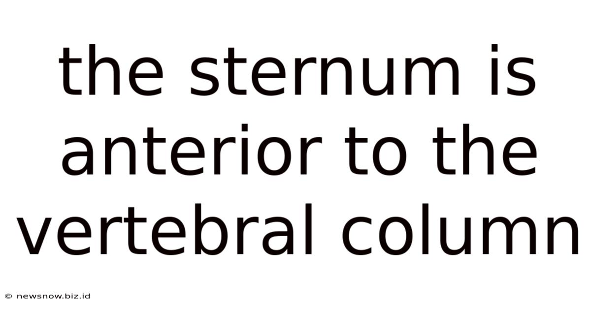 The Sternum Is Anterior To The Vertebral Column