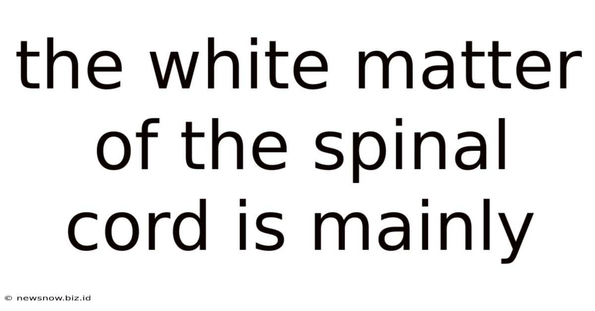 The White Matter Of The Spinal Cord Is Mainly