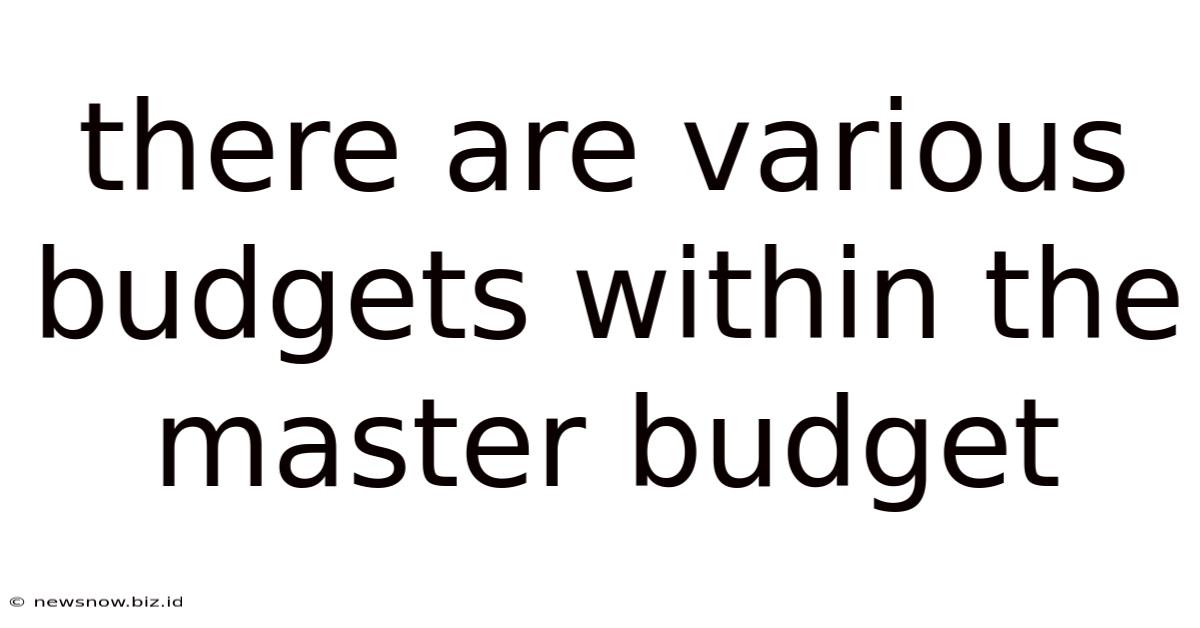 There Are Various Budgets Within The Master Budget