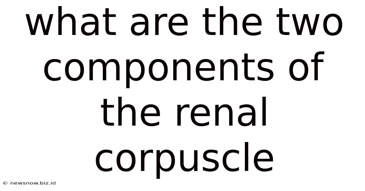 What Are The Two Components Of The Renal Corpuscle