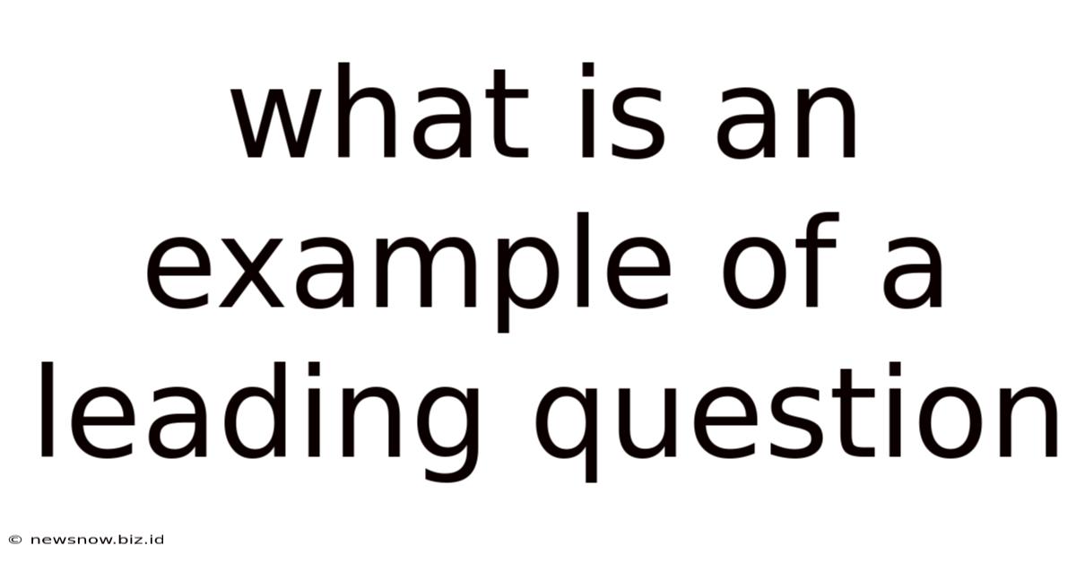 What Is An Example Of A Leading Question