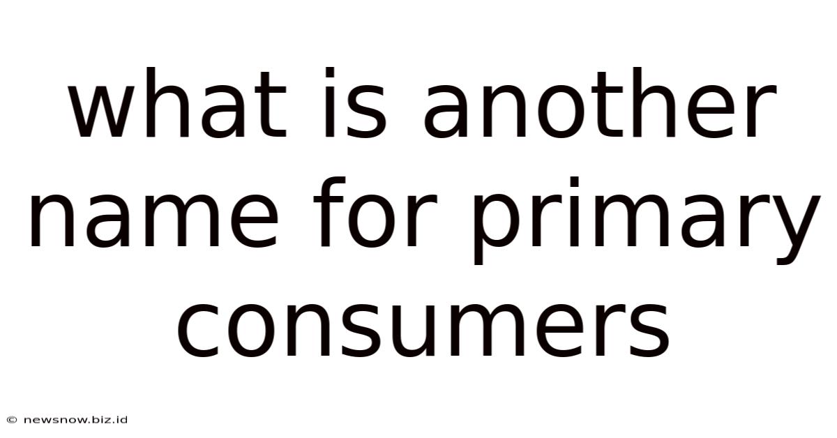What Is Another Name For Primary Consumers