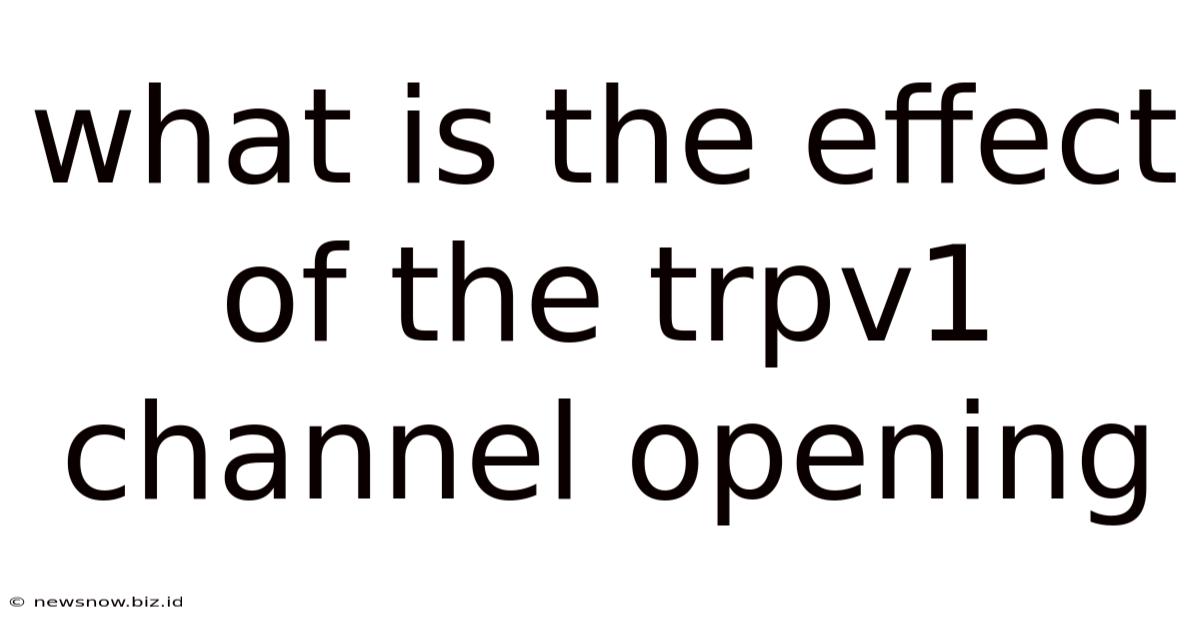 What Is The Effect Of The Trpv1 Channel Opening