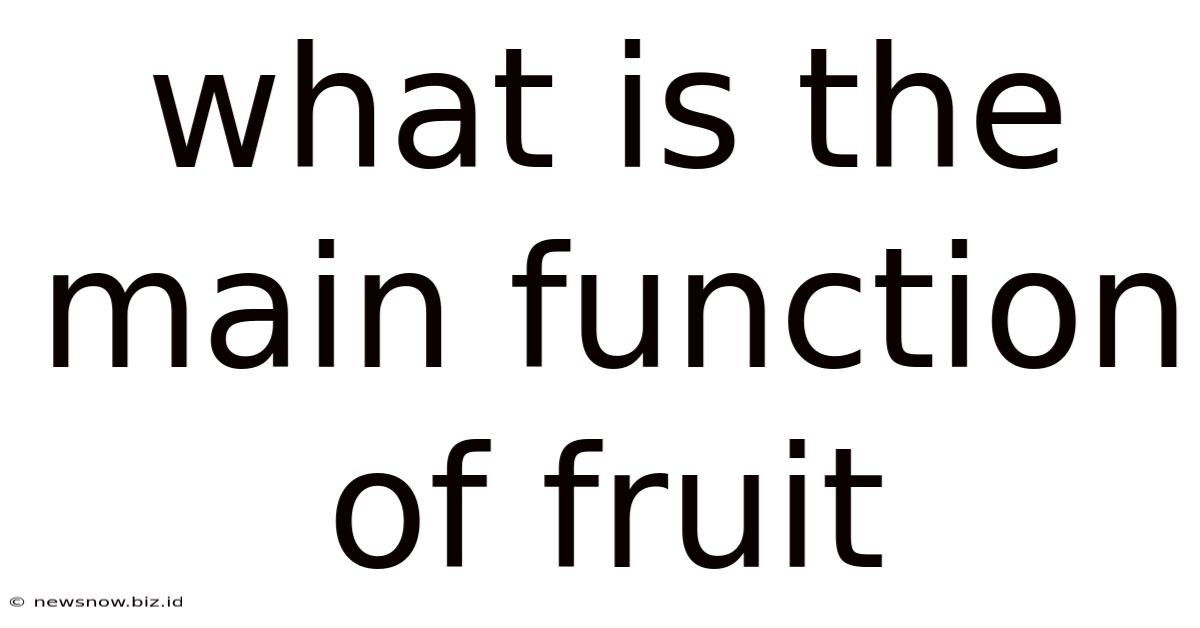What Is The Main Function Of Fruit