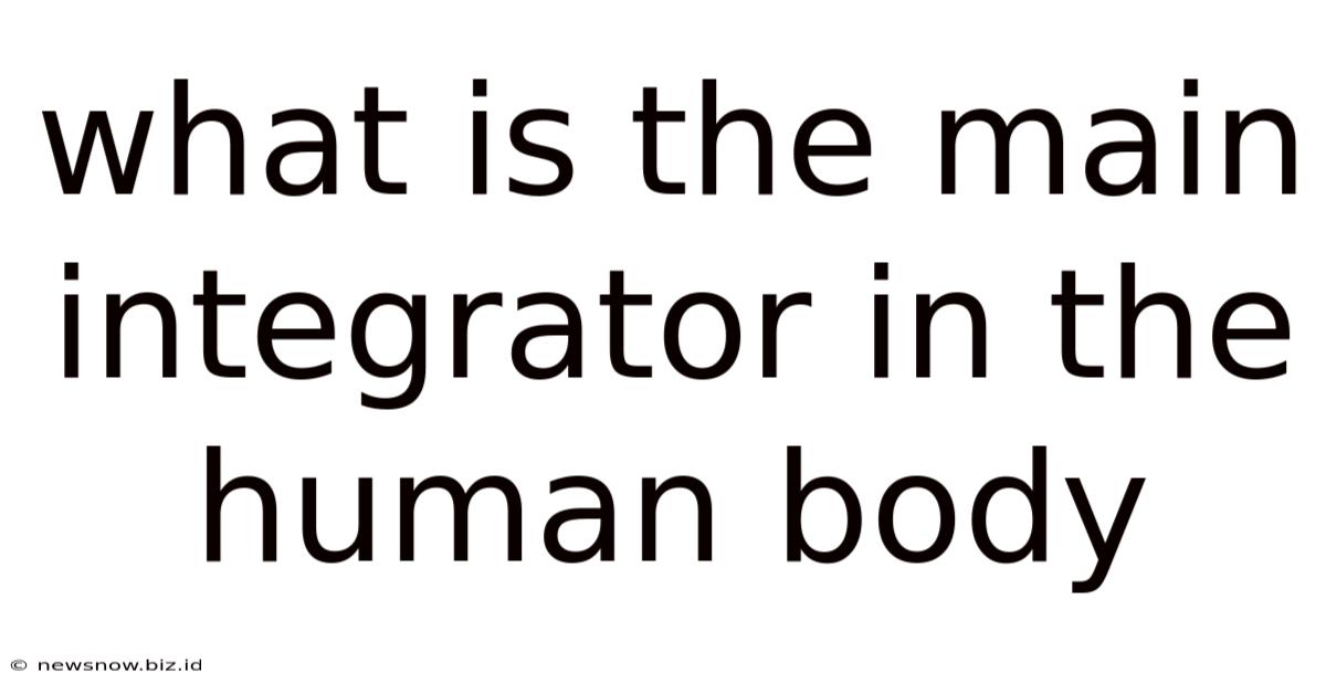 What Is The Main Integrator In The Human Body