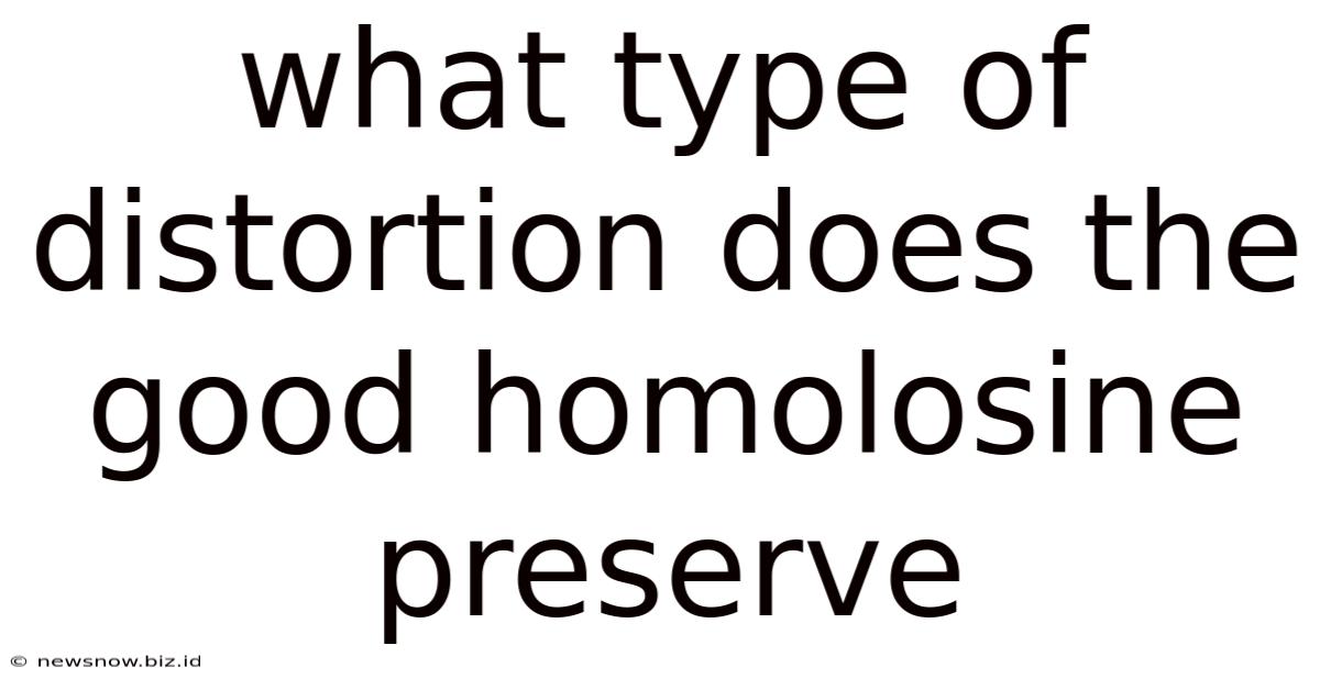 What Type Of Distortion Does The Good Homolosine Preserve