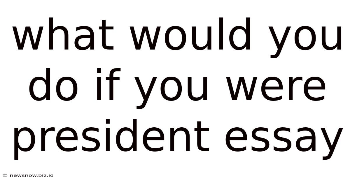 What Would You Do If You Were President Essay