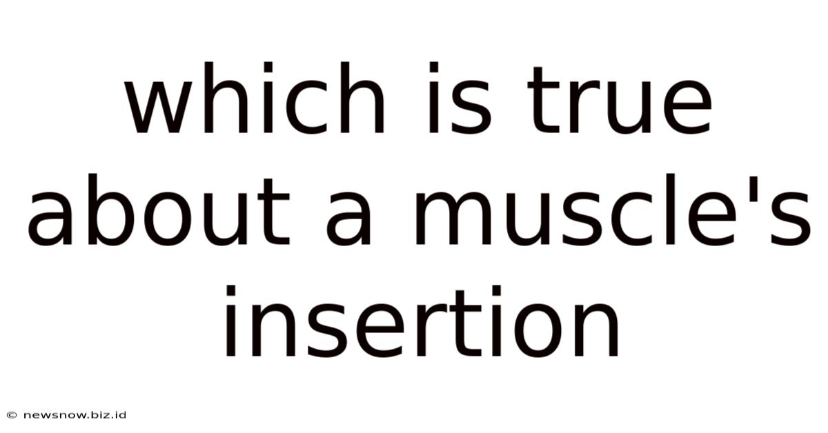 Which Is True About A Muscle's Insertion